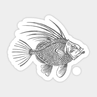 Grey John Dory Linocut Fish Sticker